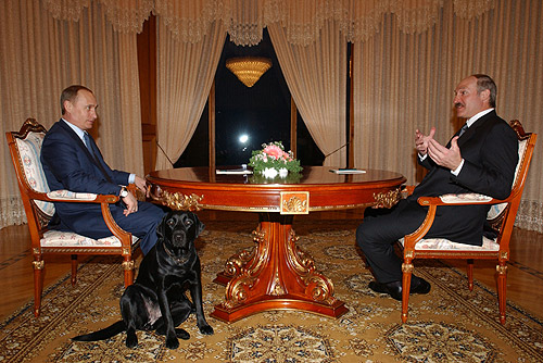 俄羅斯總理普亭(Vladimir Putin)的狗,柯尼(Koni)